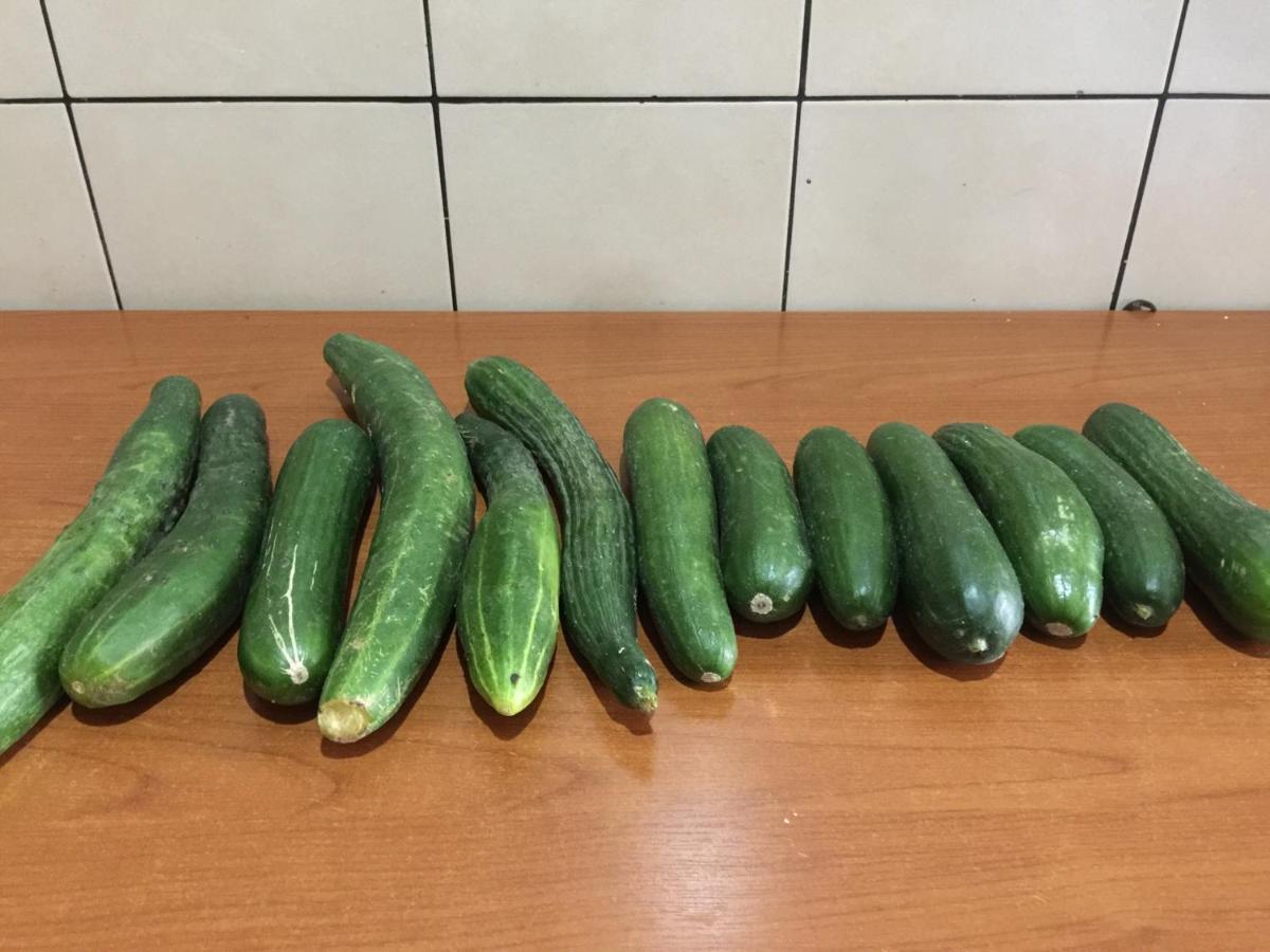 Alojamento de Acomodação e Pequeno-almoço Florians Shkodër